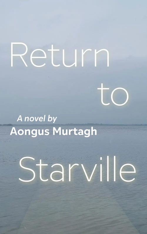 Gestaltung Buchumschlag: Return to Starville